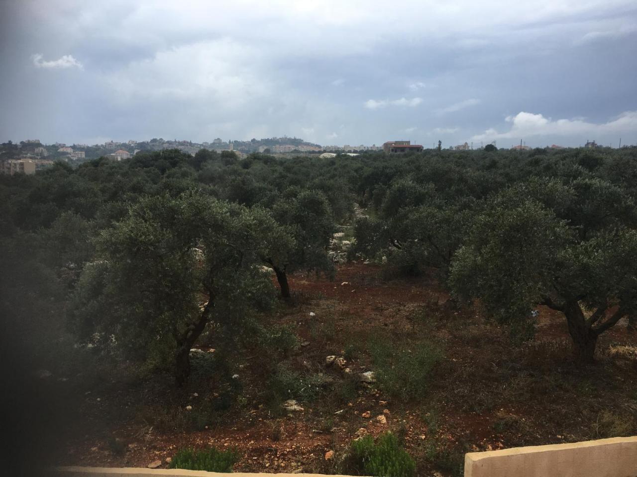 Apartment Koura Nahla