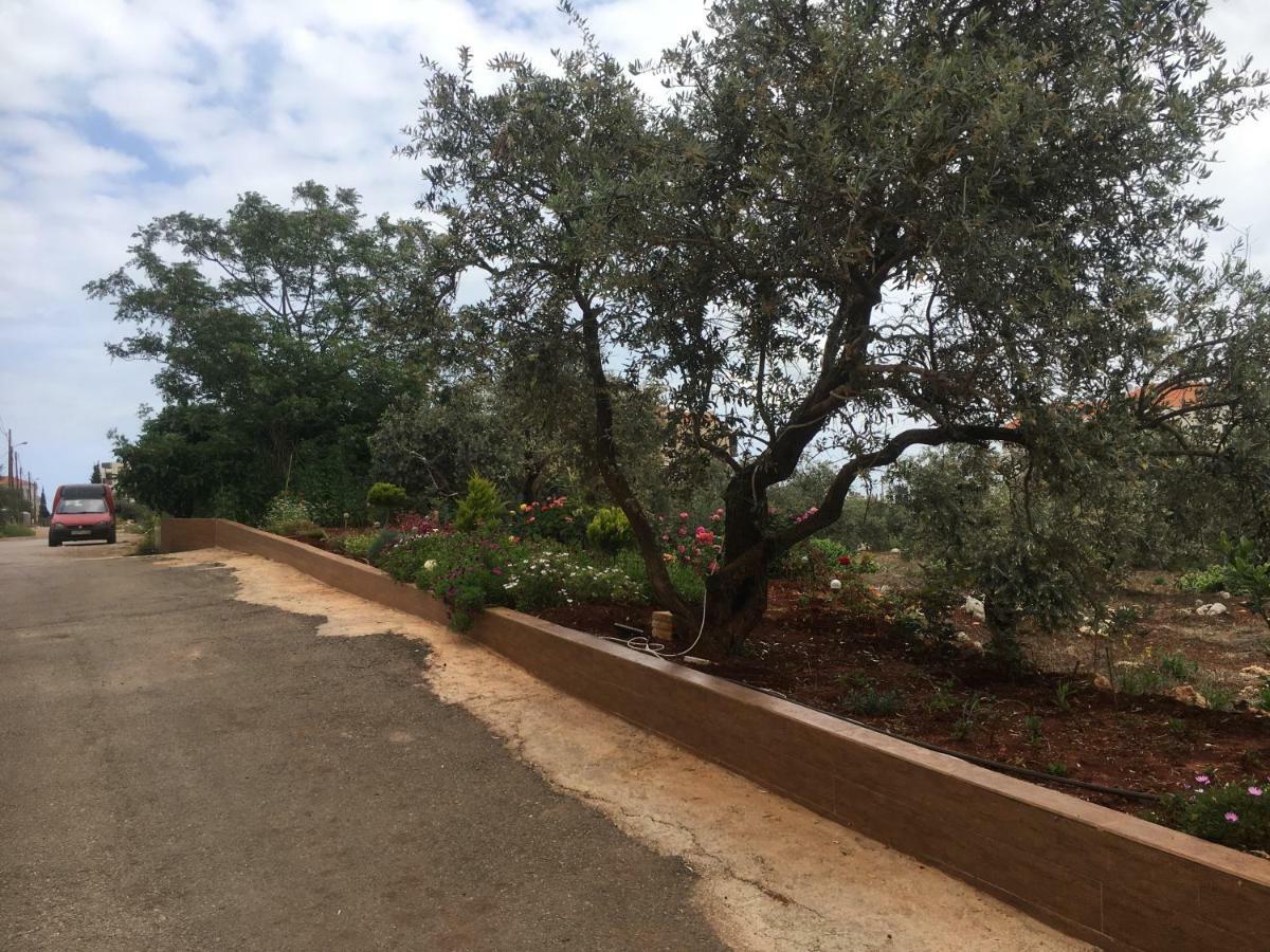 Apartment Koura Nahla